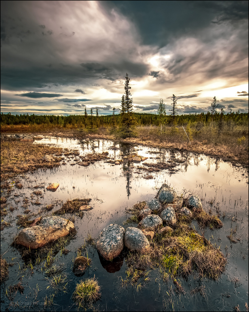 Herbst in der Taiga ...