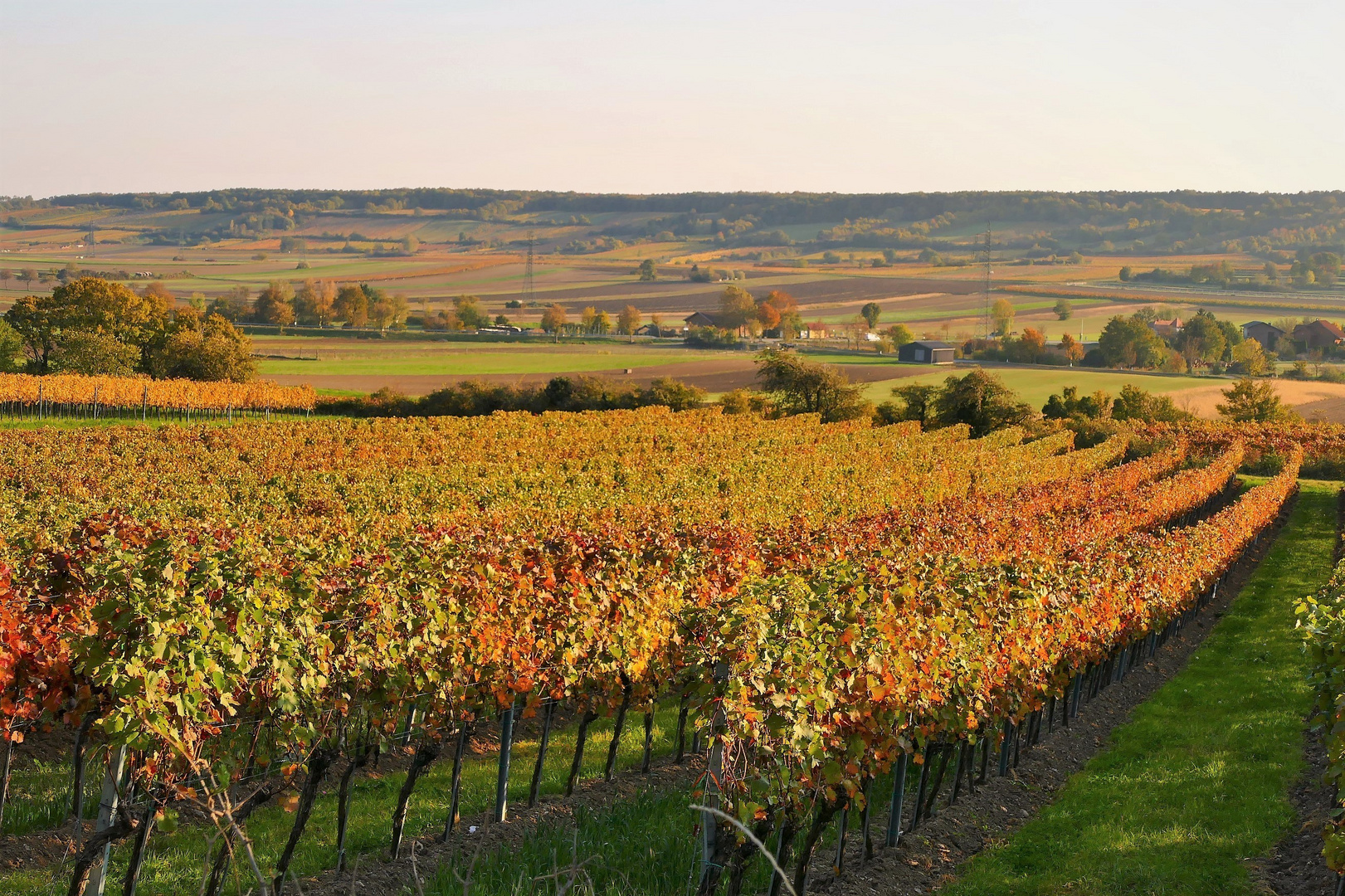 Herbst in der Thermenregion