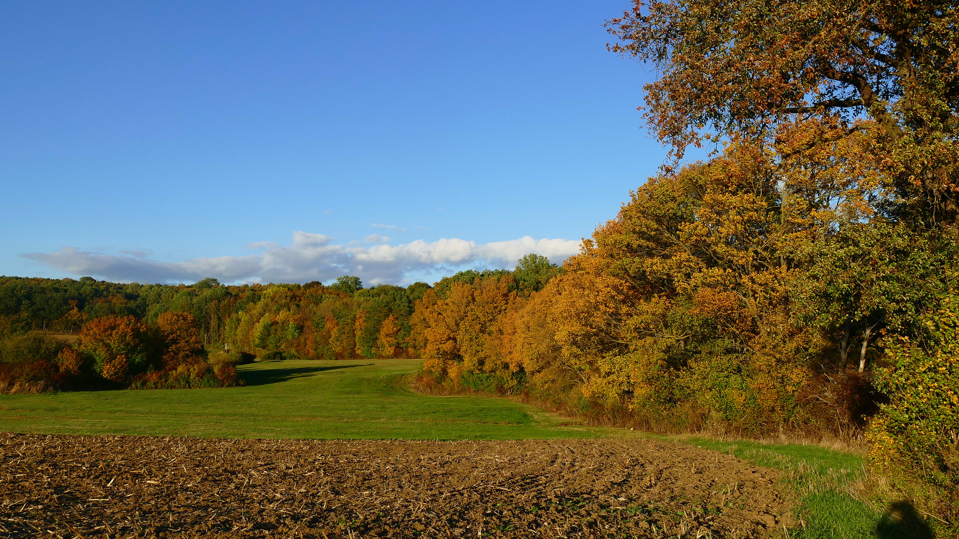 Herbst in der Thermenregion mit Selfie