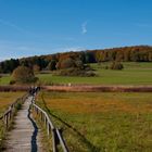 Herbst in der Torfgrube