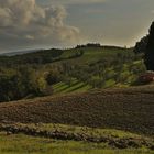 Herbst in der Toscana