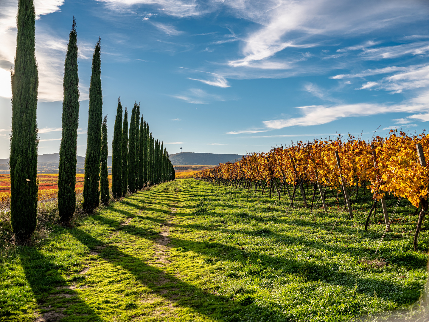 Herbst in der Toscana ....