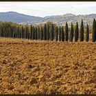 Herbst in der Toscana