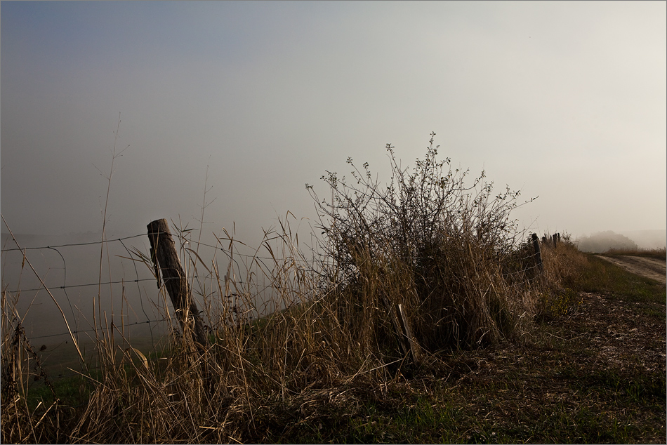 Herbst in der Toscana III