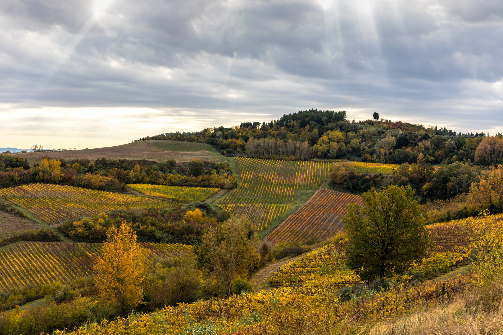 Herbst in der Toskana 