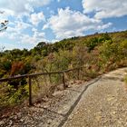 Herbst in der Toskana