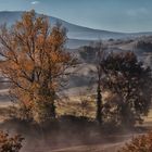 Herbst in der Toskana