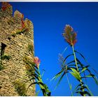 Herbst in der Toskana - Die Burgzinnen von Porto Venere