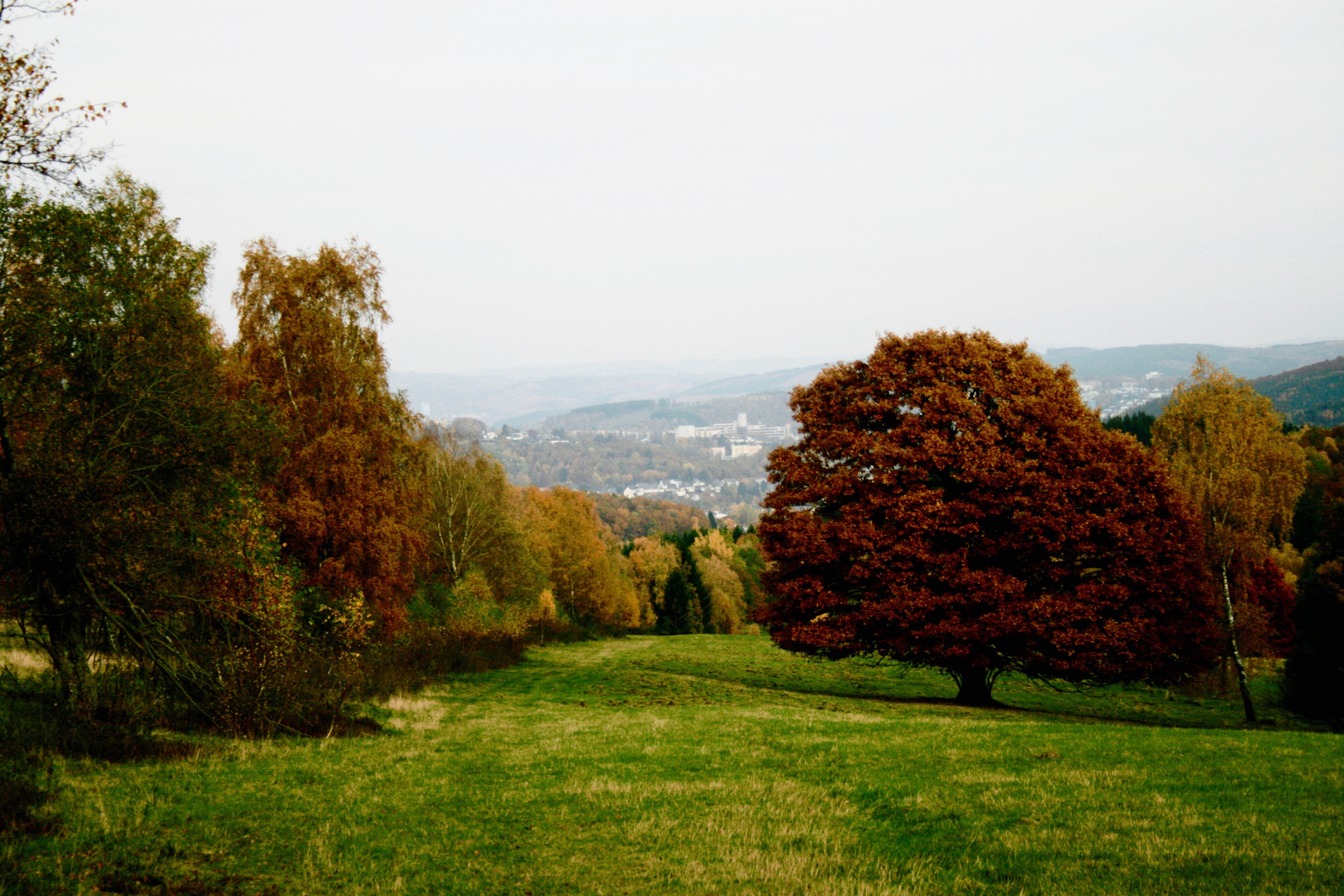 Herbst in der Trupbacher Heide