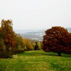 Herbst in der Trupbacher Heide