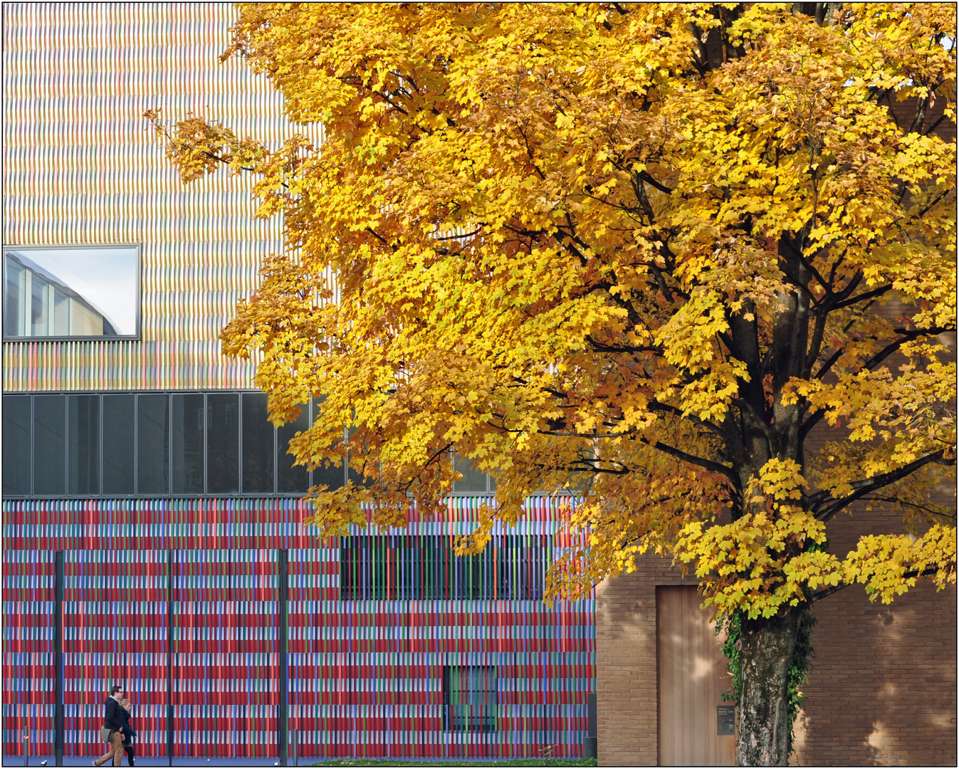 Herbst in der Türkenstraße