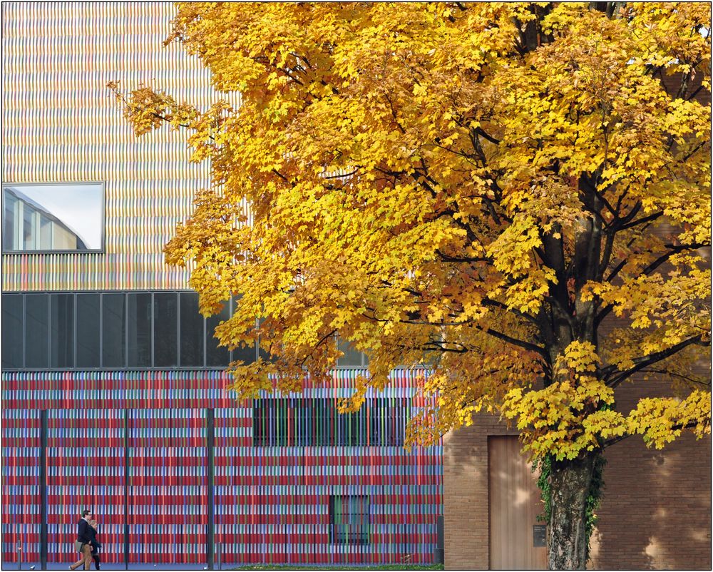 Herbst in der Türkenstraße