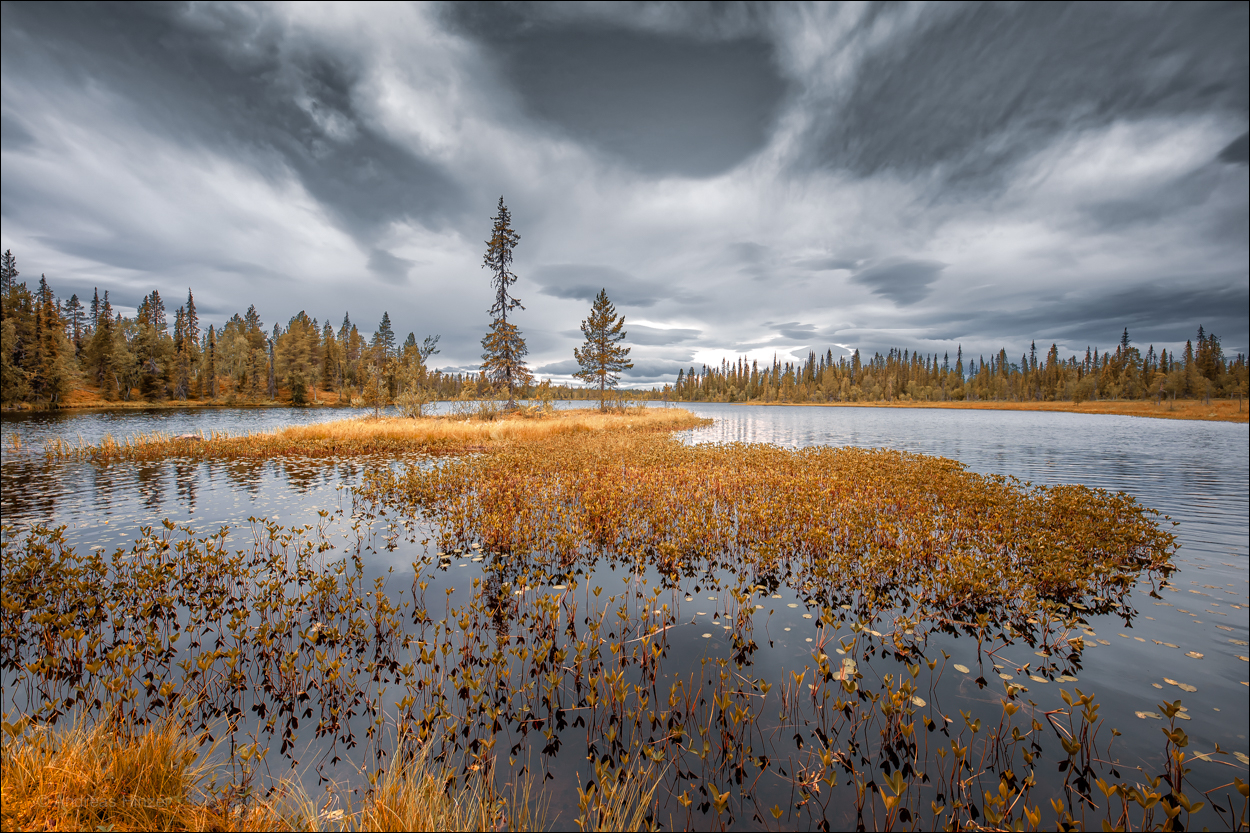 Herbst in der Tundra Lapplands ...