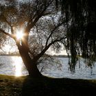 Herbst in der Uckermark