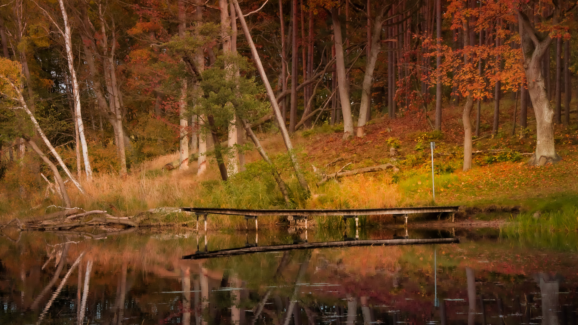 Herbst in der Uckermark