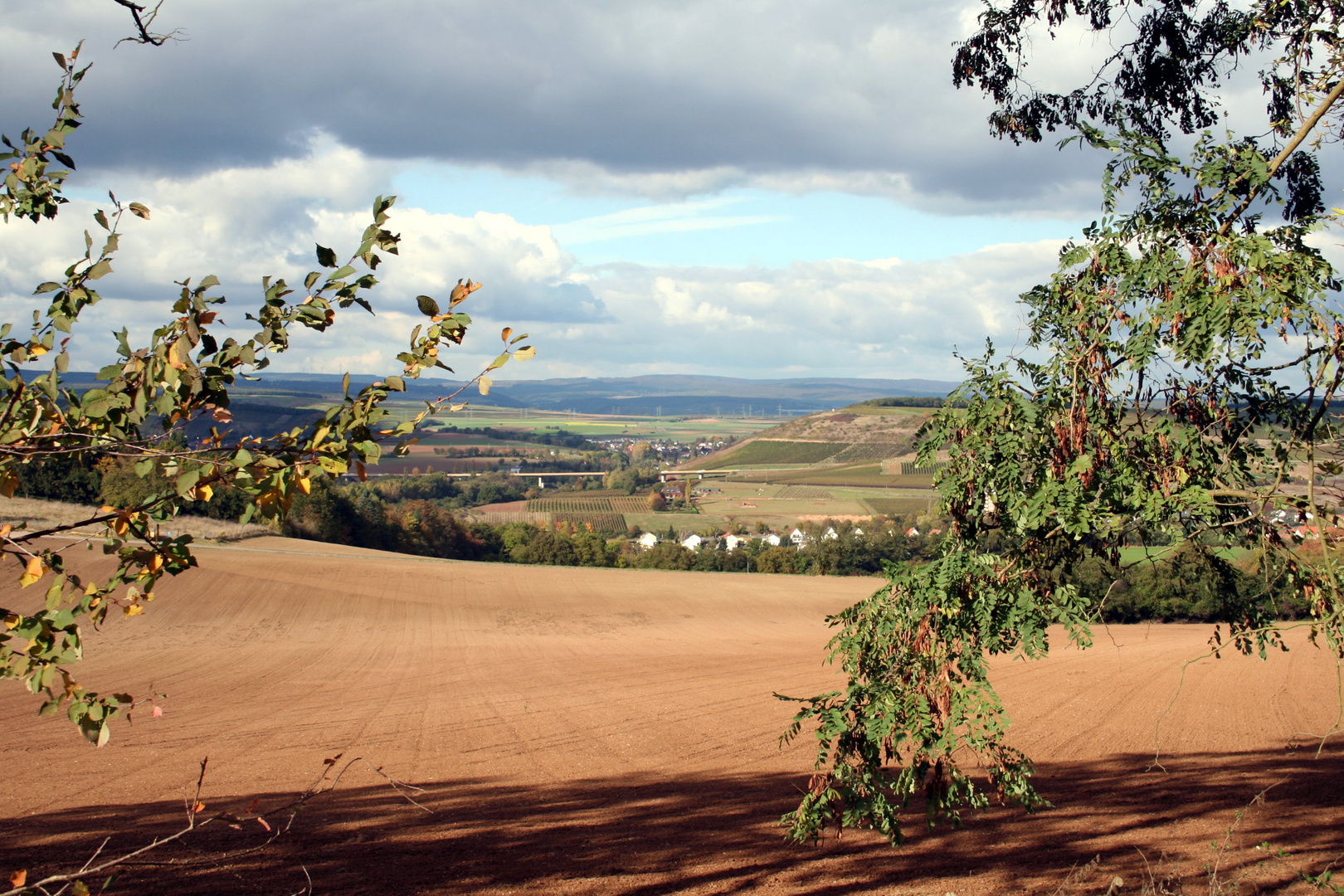 Herbst in der Umgebung von Bad Kreuznach