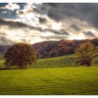 Herbst in der Voerstreek