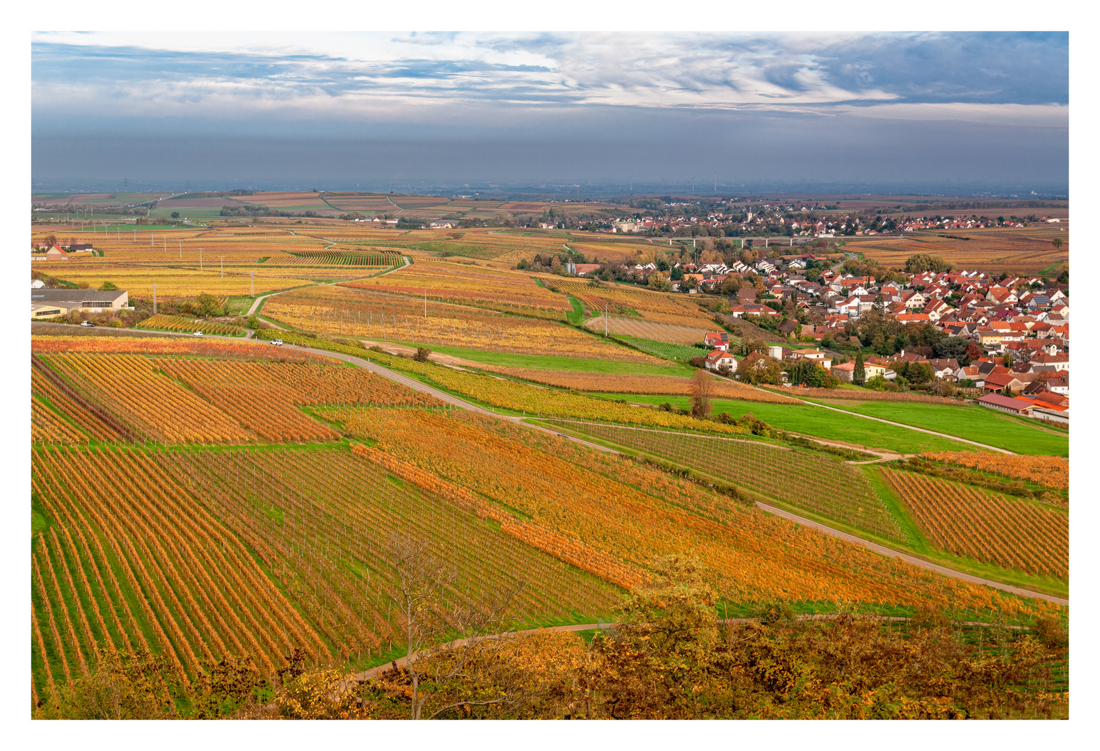 Herbst in der Vorderpfalz