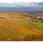 Herbst in der Vorderpfalz