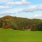 Herbst in der Vulkan Eifel ... 