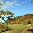 Herbst in der Vulkaneifel !