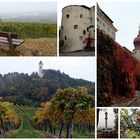 Herbst in der Wachau