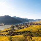 Herbst in der Wachau