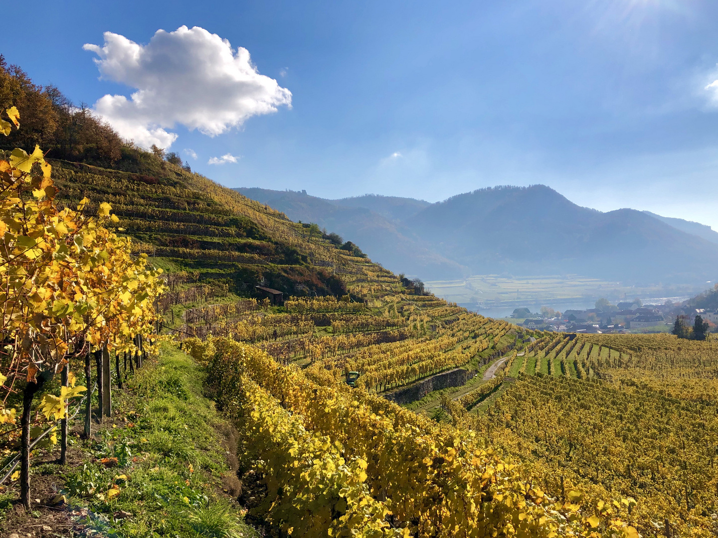 Herbst in der Wachau