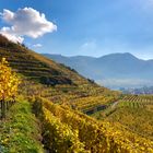 Herbst in der Wachau