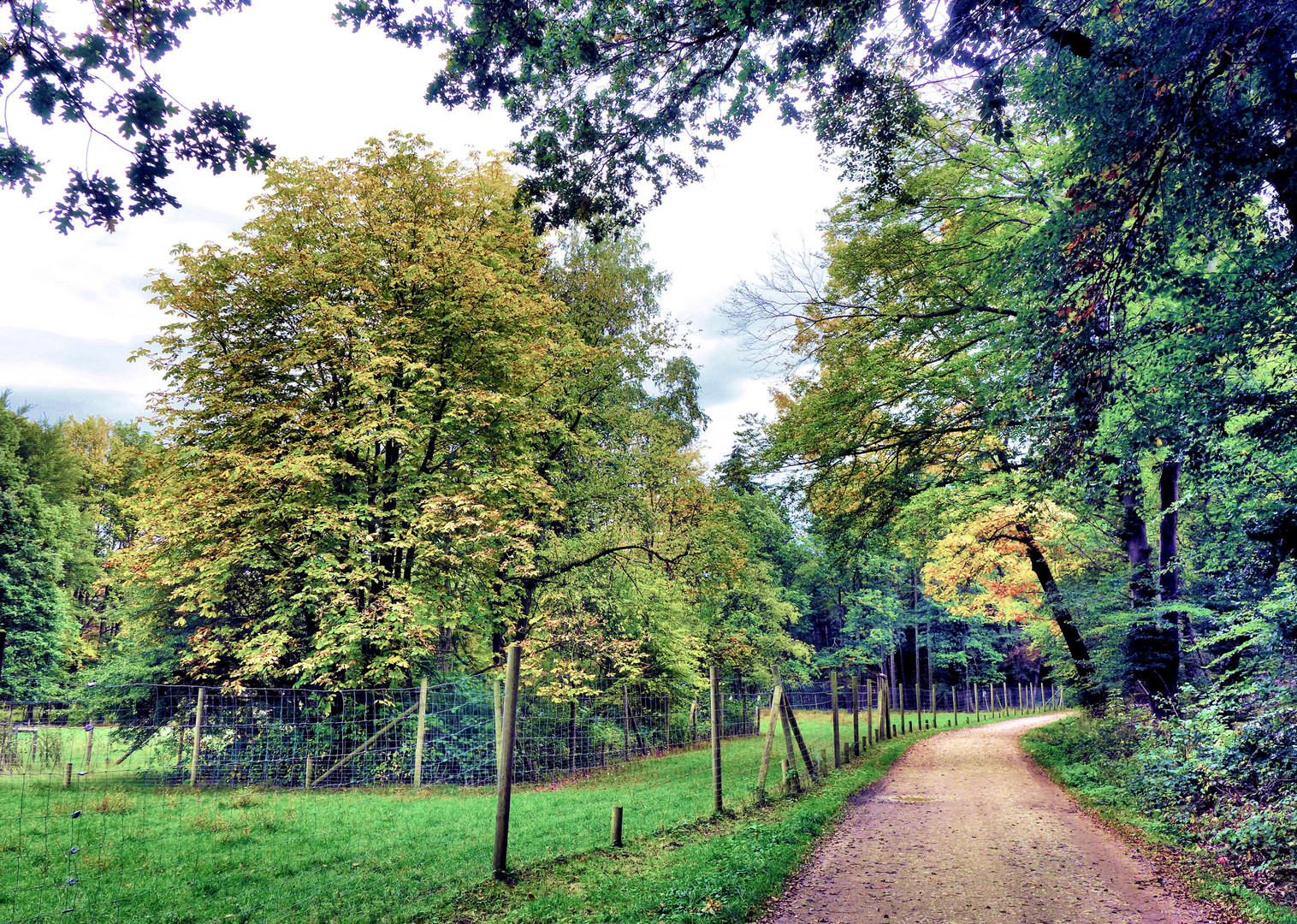 Herbst in der Waldau