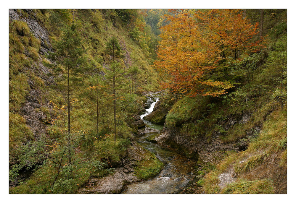 Herbst in der Weißbachschlucht