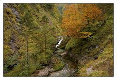 Herbst in der Weißbachschlucht