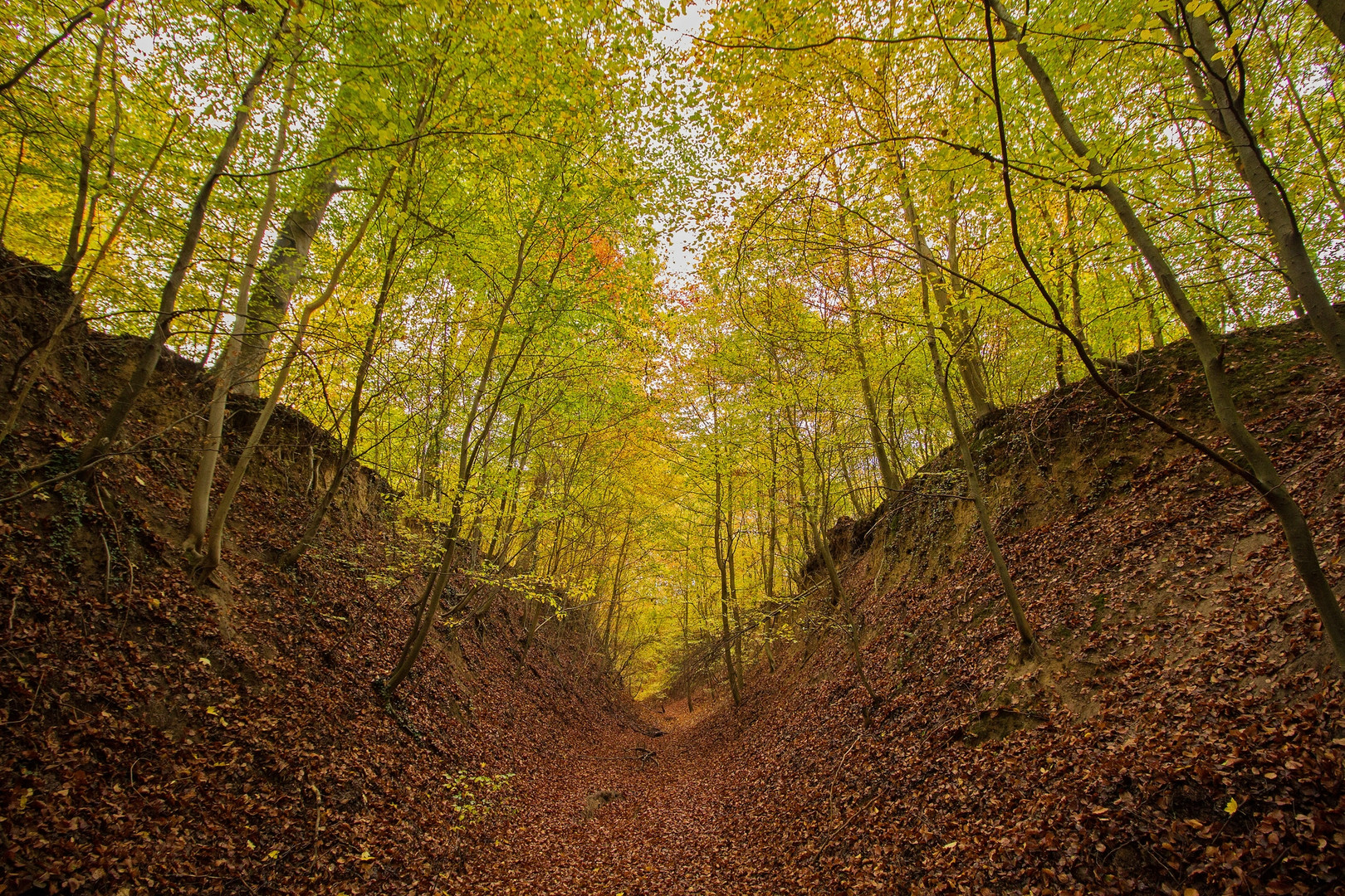 Herbst in der "Weißen Hohlen"