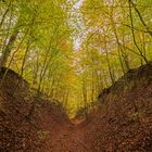 Herbst in der "Weißen Hohlen"