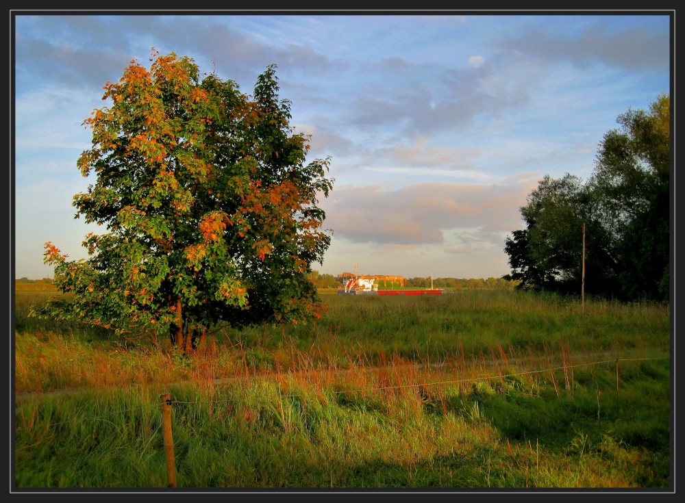 Herbst in der Wesermarsch 2