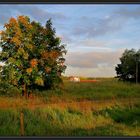 Herbst in der Wesermarsch 2