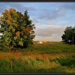 Herbst in der Wesermarsch 2