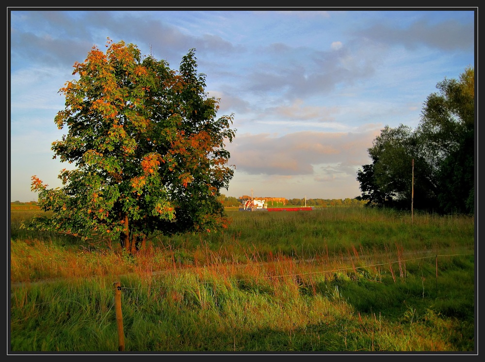 Herbst in der Wesermarsch 2 -reload-