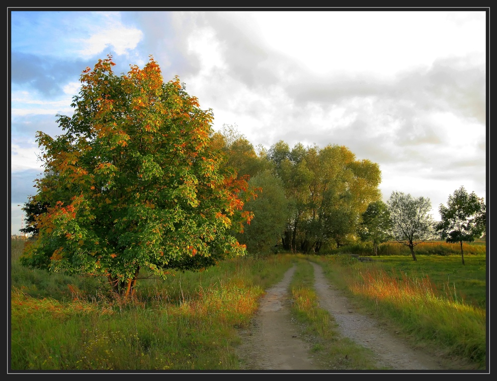 Herbst in der Wesermarsch