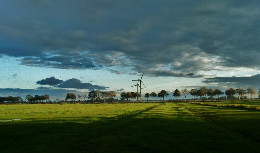 Herbst in der Wilstermarsch