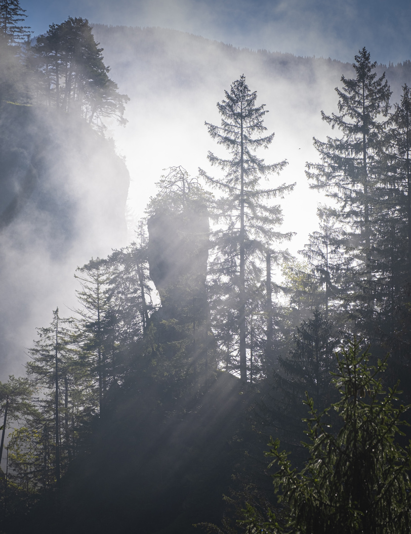 Herbst in der Wolfsklamm bei Stans in Tirol