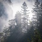 Herbst in der Wolfsklamm bei Stans in Tirol