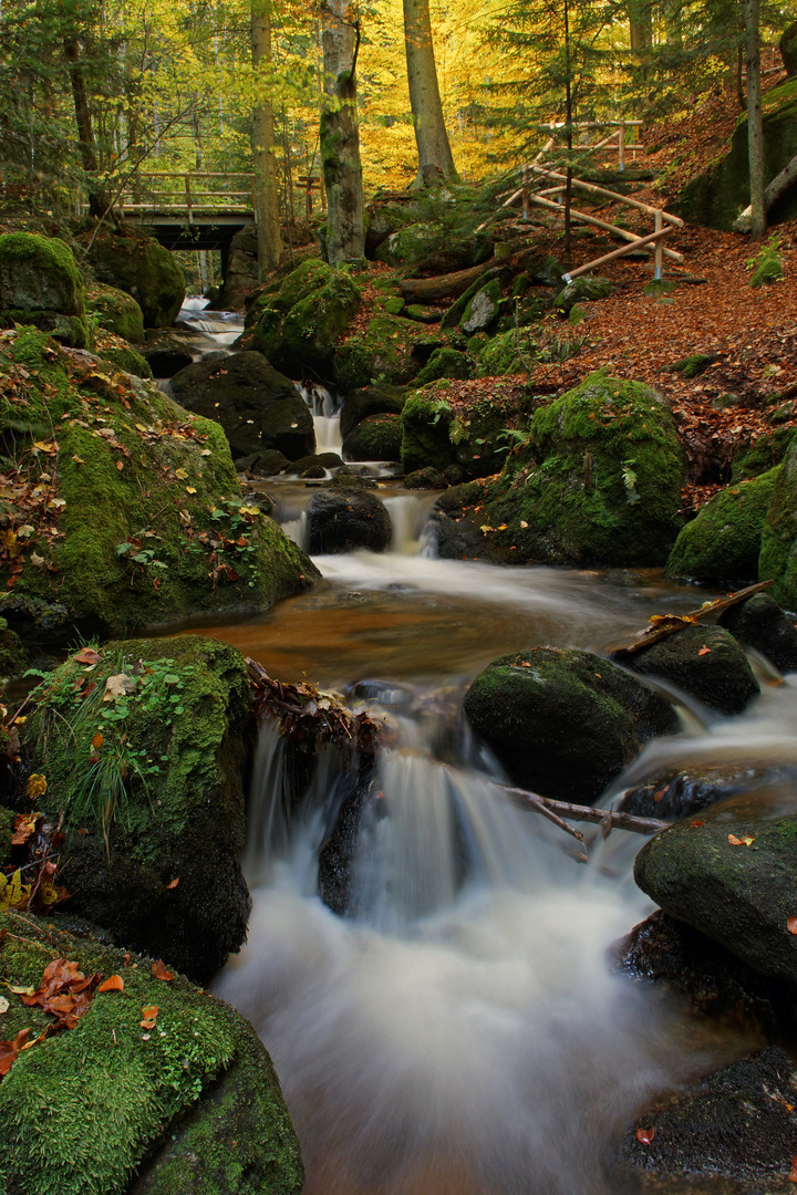 Herbst in der Ysperklamm