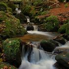 Herbst in der Ysperklamm