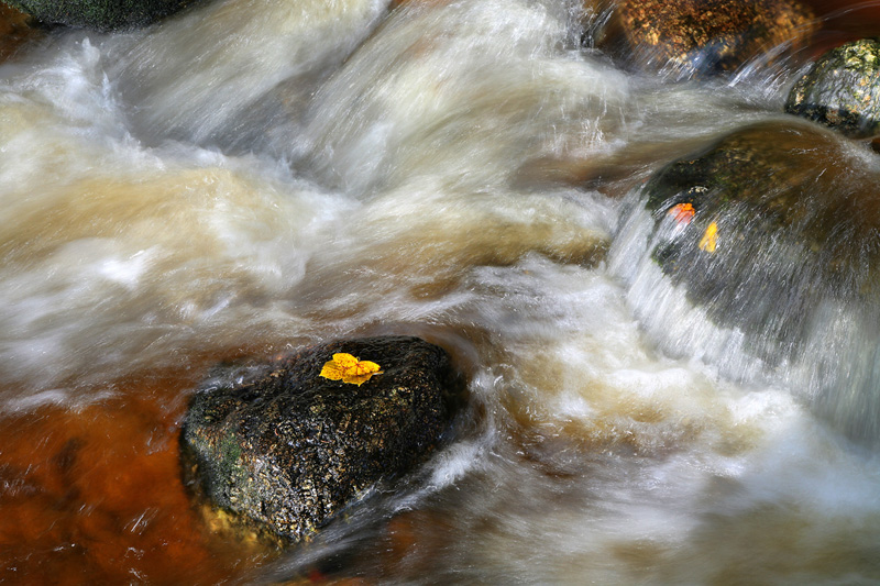 Herbst in der Ysperklamm