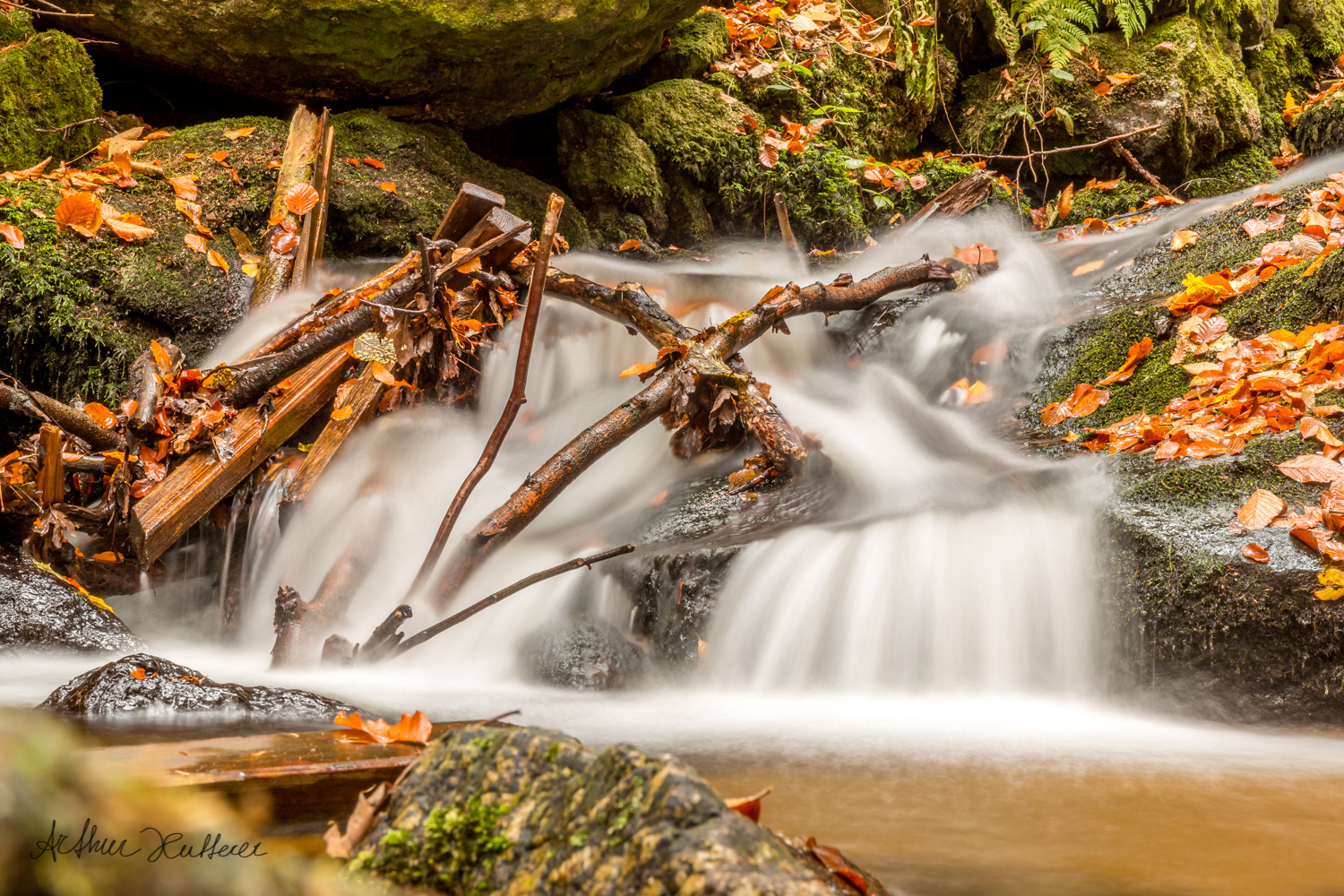 Herbst in der Ysperklamm in Österreich