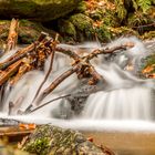 Herbst in der Ysperklamm in Österreich