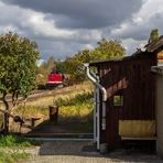 Herbst in Dessau Alten