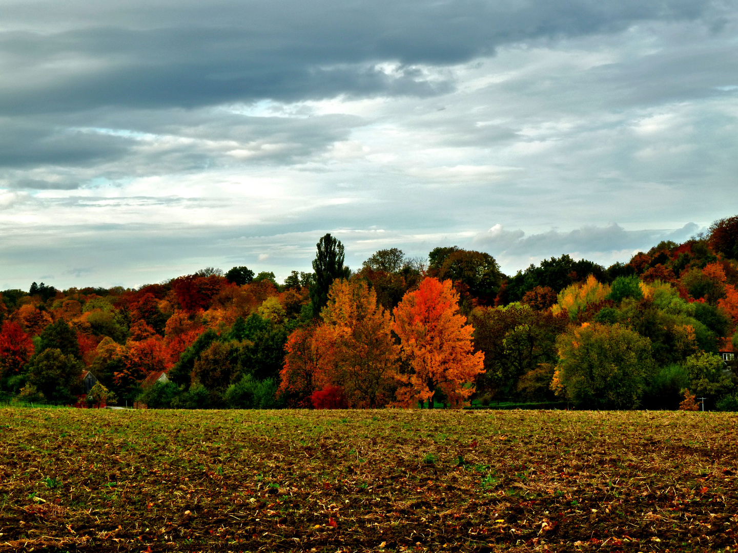 Herbst in Detmold