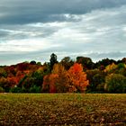 Herbst in Detmold